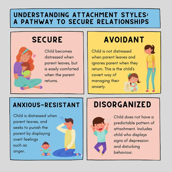 attachment styles: Secure, Avoidant, Anxious-Resistant, Disorganized