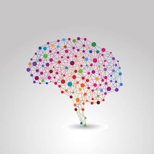 An artist's representation of a brain and its connections